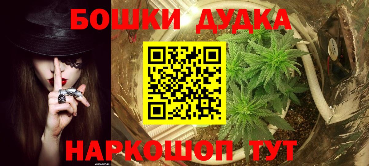 Бошки Шишки планчик  Шишки марихуана Bruce Banner  Тулун  Шишки марихуана Amnesia  Бошки марихуана планчик  Вход с VPN 